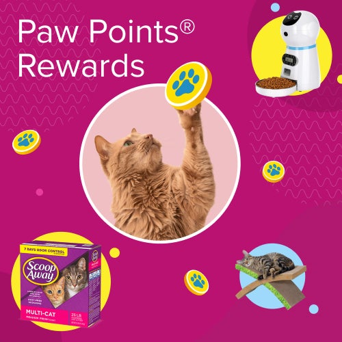 Get Rewarded for Your Everyday Cat Purchases!