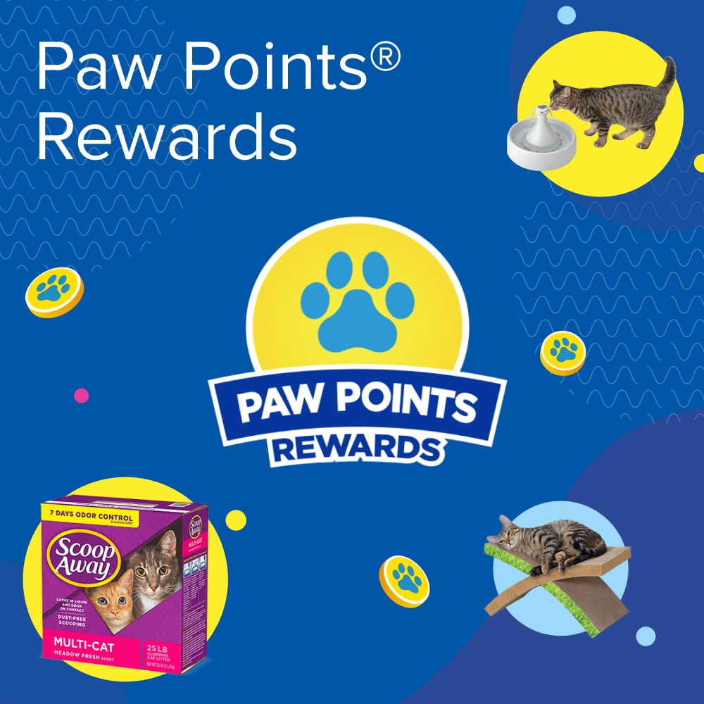 Get Rewarded for Your Everyday Cat Purchases